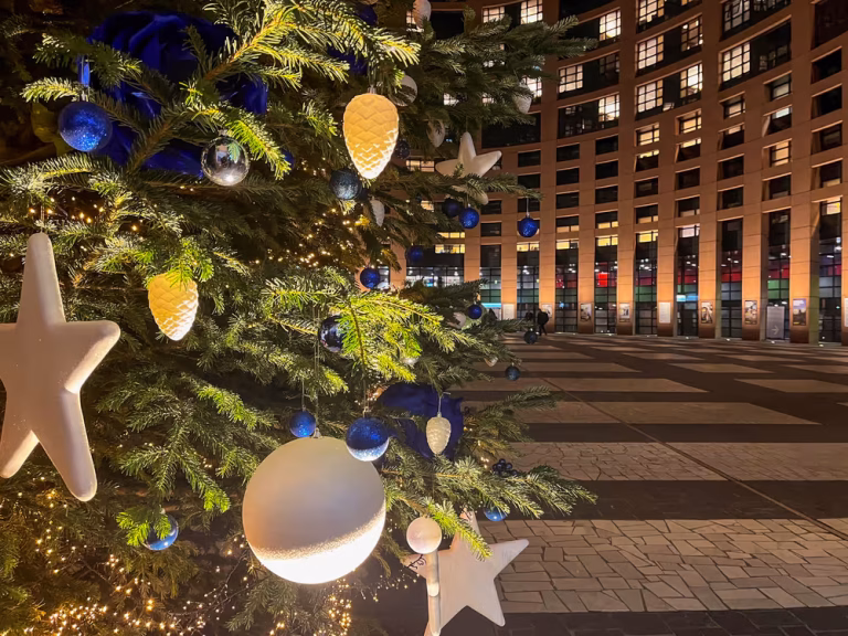 EU:n vuosi 2025 – Omavaraisuuden kohentamista ja sisäisiä vääntöjä